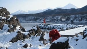シャリ — foto 6