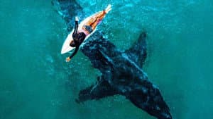 Great White Serial Killer: Fatal Christmas — foto 1