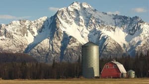 Alaska Far Away — foto 1
