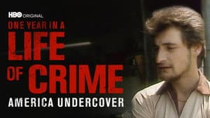 One Year in a Life of Crime — foto 1