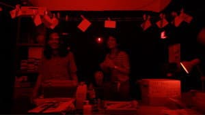 Triggris — foto 7