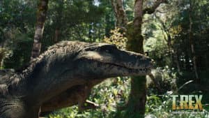 T. REX — foto 8