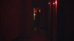 99¢ Dreams — foto 10