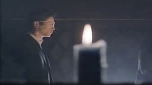 逆さ吊し縛り縄 — foto 2