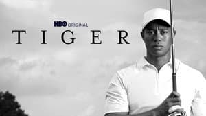 Tiger — foto 3