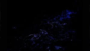 Journey to the Center of the Sound — foto 10