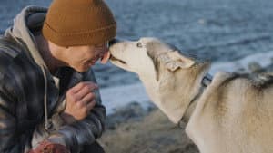 The Year of the Dog — foto 4