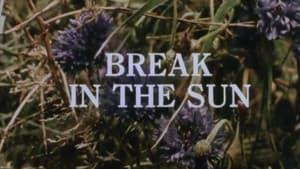 Break in the Sun — foto 1