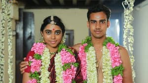 ஹவுஸ் ஓனர் — foto 3