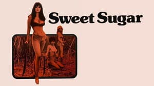 Sweet Sugar — foto 3
