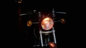 I Bought a Vampire Motorcycle — foto 11