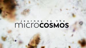 Journey to the Microcosmos — foto 1