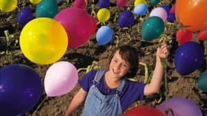 Balloon Farm — foto 1