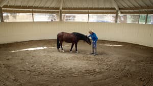 The Cowboy and the Queen — foto 2