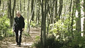 Le journal d'un vieil homme — foto 1