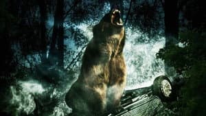 Bear — foto 1