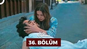 Episodio 36