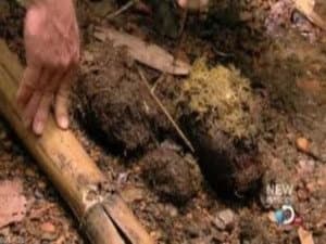 Episodio 4
