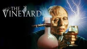 The Vineyard — foto 12