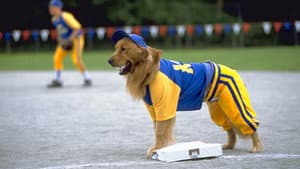 Air Bud: El bateador de oro — foto 2