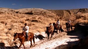 The Wild Horse Redemption — foto 2