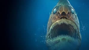 Aquarium of the Dead — foto 5