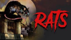La noche de las ratas — foto 7
