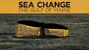 Sea Change: The Gulf of Maine — foto 1