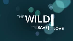 The Wild — foto 1