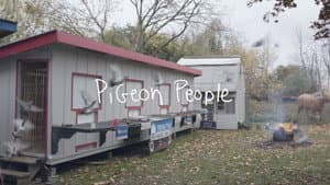 Pigeon People — foto 2