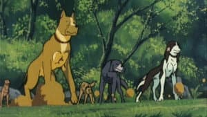 Episodio 9