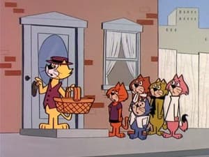 Don Gato cuida al bebé