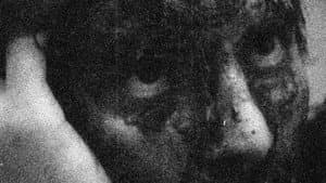 Pascal — foto 1