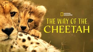 The Way of the Cheetah — foto 6