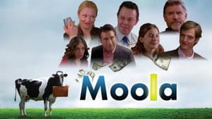 Moola — foto 1