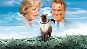Un gato del F.B.I. — foto 12