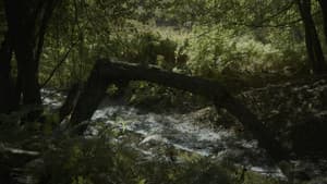 SILVA NATURA — foto 1