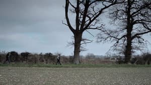 Not Far from the Tree — foto 1