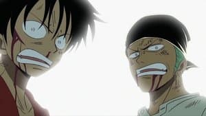 ¡Batalla en serio! Luffy contra Zoro. ¡Un misterioso duelo!