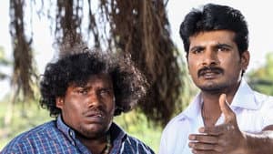 குத்தூசி — foto 2