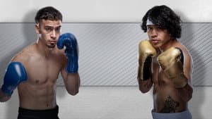 Zuffa Boxing 02 — foto 4