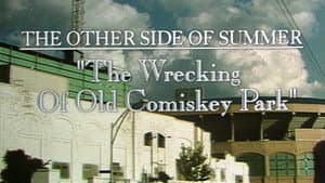 The Wrecking of Old Comiskey Park — foto 2