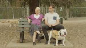 Dog Park — foto 3