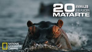 20 Animals That Will Kill You — foto 2