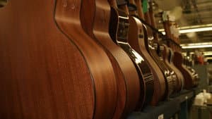 Musicwood — foto 2