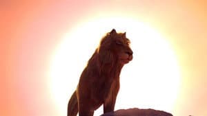 Lion — foto 2