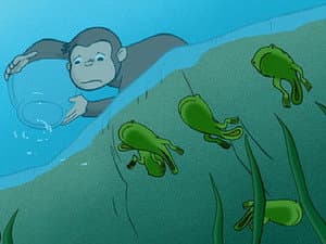 Episodio 19