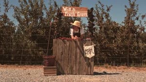 Windfall Rising — foto 1