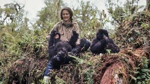 Dian Fossey: Ihr Leben für die Gorillas — foto 1