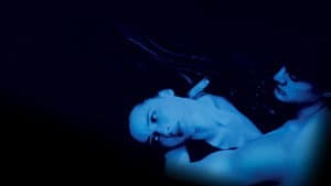Terciopelo azul — foto 12